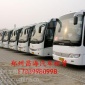 16-28座考斯特租赁|32-57座旅游大巴专业租赁
